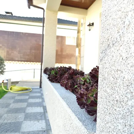 Apartment Casa Mercedes