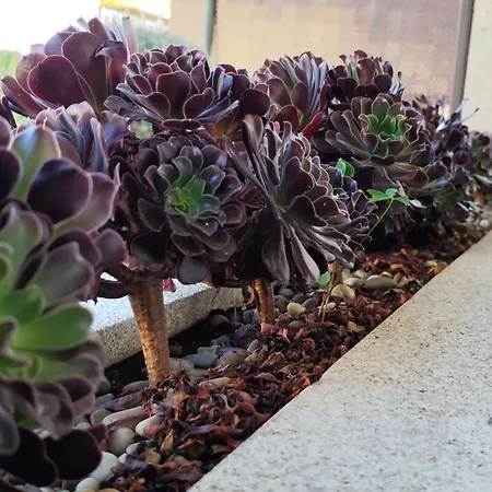 Casa Mercedes Cabeceiras de Basto