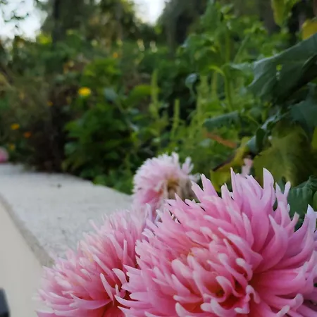 Apartment Casa Mercedes