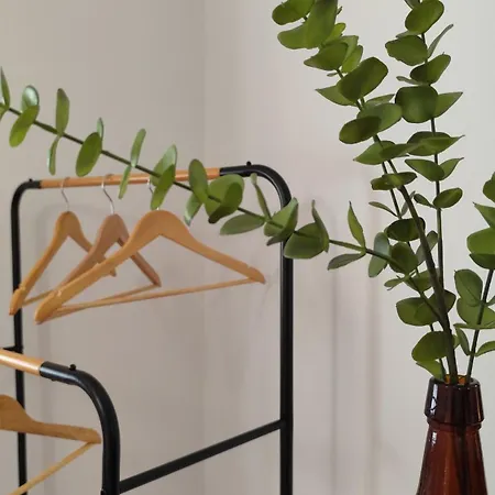 Casa Mercedes Apartment Cabeceiras de Basto