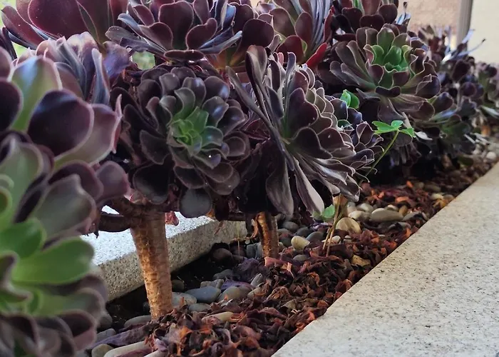 Casa Mercedes Cabeceiras de Basto